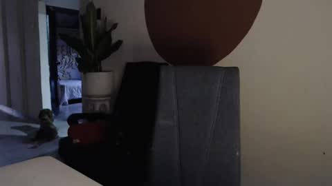 Snapshot of alogenotwink chatting on December 2025 11:27:02 AM STEPHAN online show from December 2025 11:27:02 AM