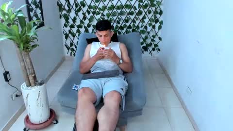 Alpha pprs online show from December 2024 07:47:01 AM