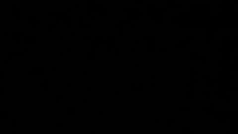 Shelby or if you want to make me purr just call me Kitten  online show from January 2025 05:02:02 PM