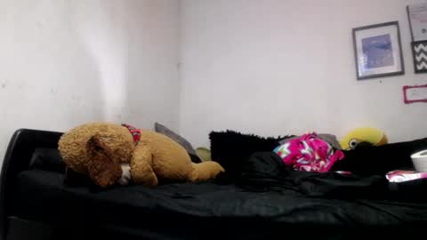 Snapshot of alynfoxx chatting on June 2026 06:51:02 PM Alyn Maria online show from June 2026 06:51:02 PM