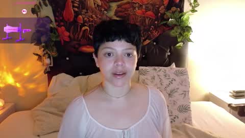         online show from September 2025 11:33:02 AM