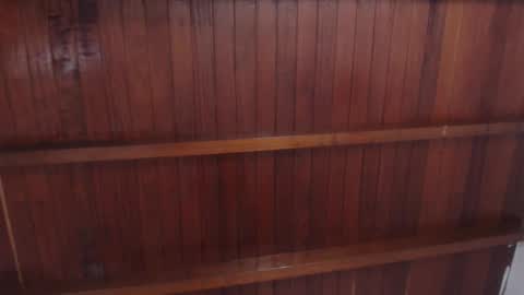   online show from November 2025 11:10:02 AM