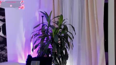 Amatista online show from September 2025 11:51:01 PM