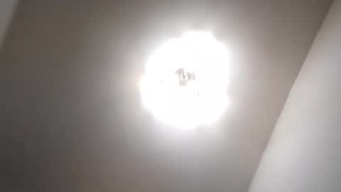 Petruss s Csabesztoo online show from January 2025 03:34:02 AM