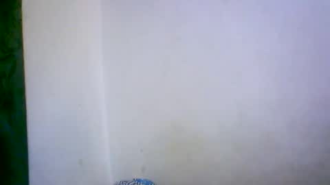 Snapshot of ambar166 chatting on December 2025 11:00:02 PM ambar166 online show from December 2025 11:00:02 PM