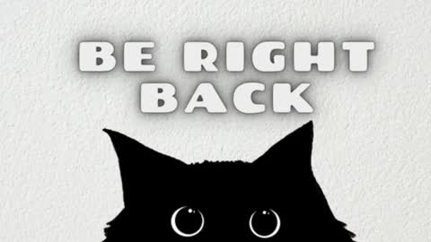 Snapshot of ambarsantany chatting on January 2025 11:43:01 PM AmbarSantany  online show from January 2025 11:43:01 PM