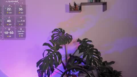 Snapshot of amber_rosewood_ chatting on January 2026 04:50:01 AM Vivi online show from January 2026 04:50:01 AM