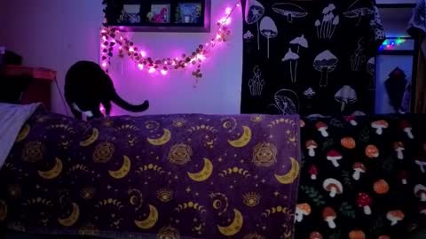 Snapshot of amburlicious chatting on February 2026 04:02:01 AM amburlicious online show from February 2026 04:02:01 AM