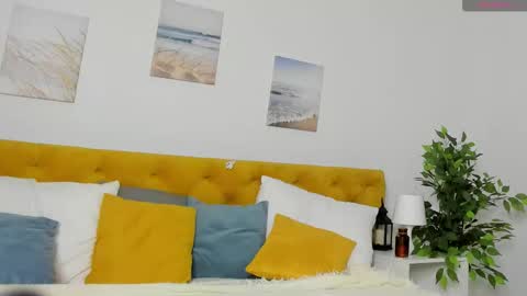 Snapshot of ameli_shell chatting on November 2025 01:27:02 AM Ameli online show from November 2025 01:27:02 AM