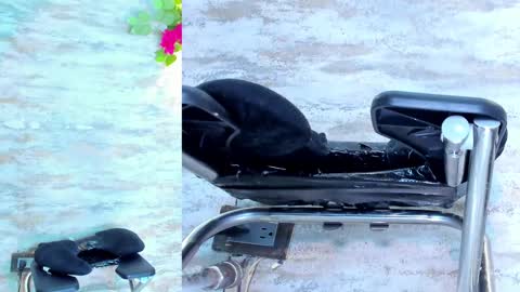  AMELIA.  online show from October 2025 09:01:01 PM