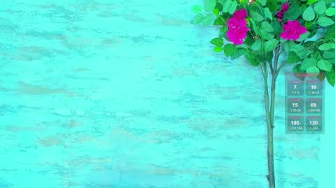  AMELIA.  online show from March 2026 02:17:02 AM