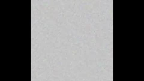 ami_berner online show from December 2025 12:34:02 PM