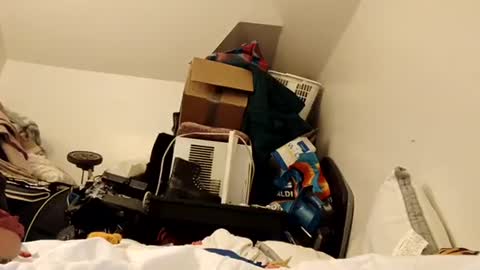 Snapshot of amileamariestar chatting on December 2024 07:15:02 AM amileamariestar online show from December 2024 07:15:02 AM