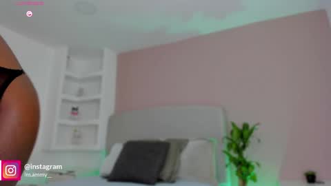 AMMY online show from May 2026 09:08:01 PM
