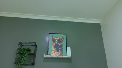 A M M Y  online show from March 2026 10:54:01 AM