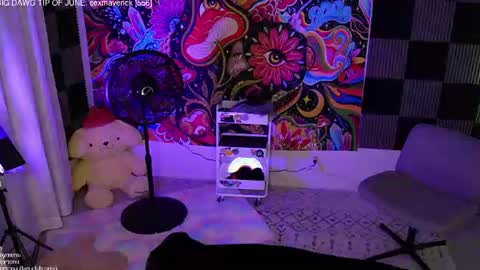 Snapshot of amphetameme chatting on June 2026 02:24:02 AM sierra online show from June 2026 02:24:02 AM