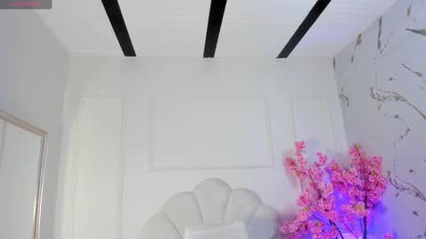 Amykord online show from November 2025 11:20:01 AM