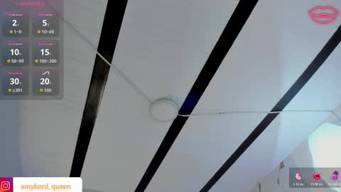 Amykord online show from November 2025 11:31:02 AM