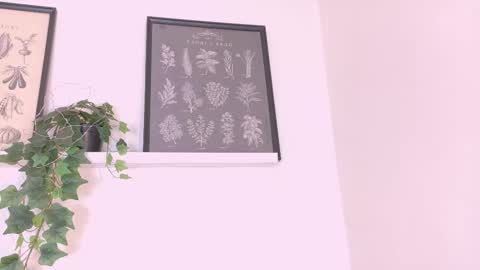  AMMY  online show from February 2026 11:54:01 AM