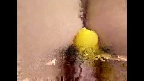 You can call me Amy Ray or Maggie May online show from April 2026 09:15:01 PM