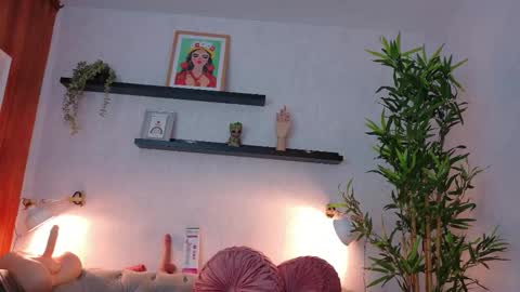 Anaise  online show from November 2025 11:43:01 AM