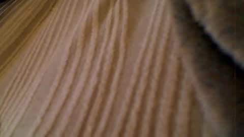 Snapshot of anaiserebel chatting on January 2026 07:02:02 AM anaiserebel online show from January 2026 07:02:02 AM