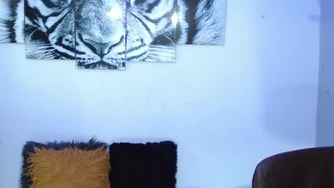 Analia online show from February 2025 02:02:01 PM