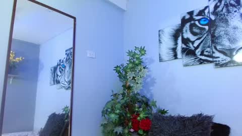 Analia online show from February 2025 03:10:02 PM