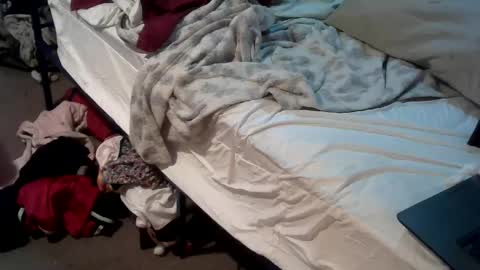 Snapshot of analwhore666 chatting on December 2024 03:53:02 PM kinkylilanalslut online show from December 2024 03:53:02 PM