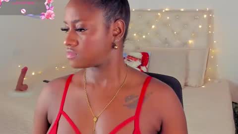 A N A  my connection hours are from 600 pm to 12 pm Colombian time online show from December 2024 03:18:02 AM