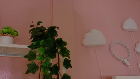 Kendra  online show from July 2026 09:02:01 AM