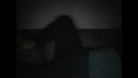 Snapshot of andellus chatting on November 2025 11:18:02 PM andellus online show from November 2025 11:18:02 PM