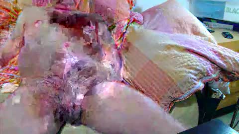 Andi online show from November 2025 04:34:02 AM