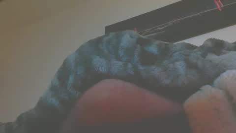 andreas online show from March 2026 05:14:02 AM