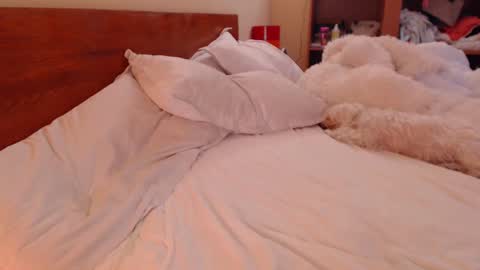 Snapshot of andrasweetie chatting on March 2025 01:59:02 PM Andra online show from March 2025 01:59:02 PM