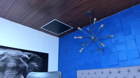 insta andres clark  online show from December 2025 02:55:01 PM