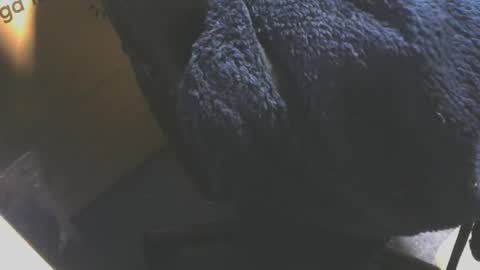 Snapshot of andy503503650759 chatting on December 2025 08:20:01 AM andy503503650759 online show from December 2025 08:20:01 AM