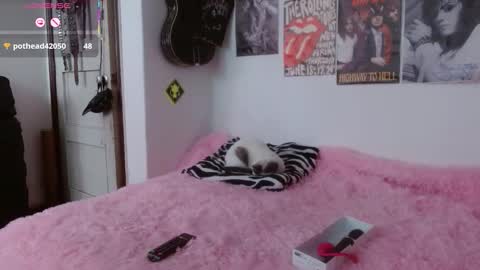 Snapshot of andy_rock_ chatting on November 2025 02:29:01 PM andy online show from November 2025 02:29:01 PM