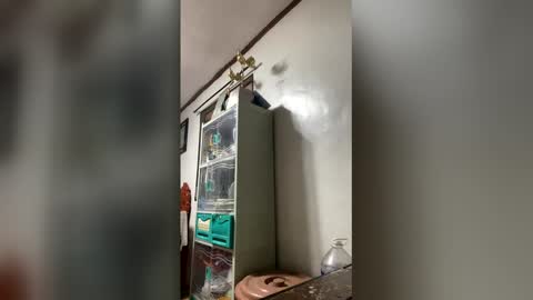 ange011 online show from March 2026 06:06:02 AM