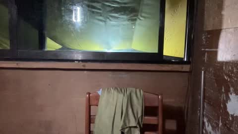 callmekianna online show from December 2025 12:14:02 PM