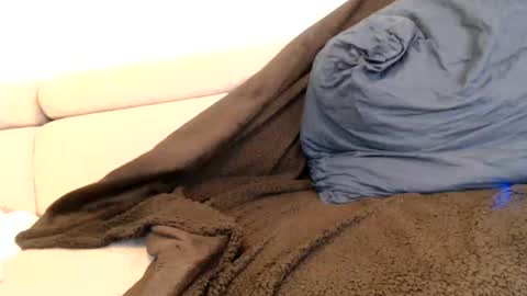 Snapshot of angelicarainss chatting on November 2025 01:17:02 AM Angelica online show from November 2025 01:17:02 AM