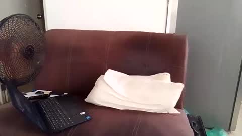 angellion141 online show from May 2026 04:34:01 PM
