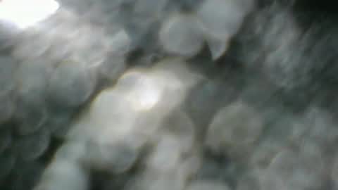 angeltta69 online show from April 2026 06:35:02 AM