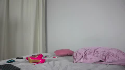 Snapshot of angry_tomato_ chatting on January 2025 05:56:01 PM Lera My next stream on November 30 online show from January 2025 05:56:01 PM