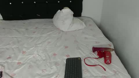 ani_steveson online show from February 2026 05:39:02 AM