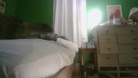 Ani online show from February 2026 11:30:02 AM