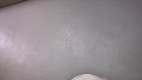 Animeboygirls online show from October 2025 06:36:01 AM