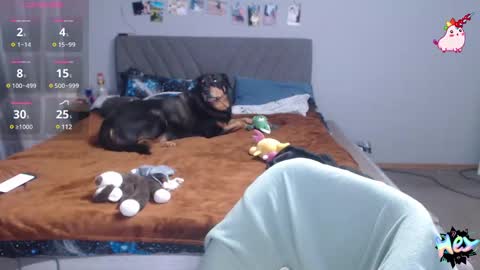 Snapshot of anna_ana chatting on February 2025 07:03:02 PM Anadirectgirl online show from February 2025 07:03:02 PM