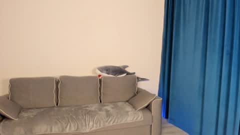 anna miuu online show from December 2024 05:37:01 AM