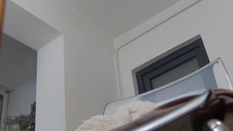 Anna online show from December 2024 11:45:02 AM